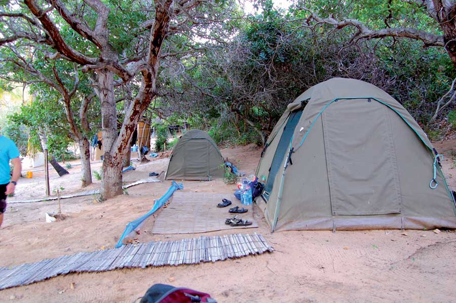 Wilderness Camping back to nature girl