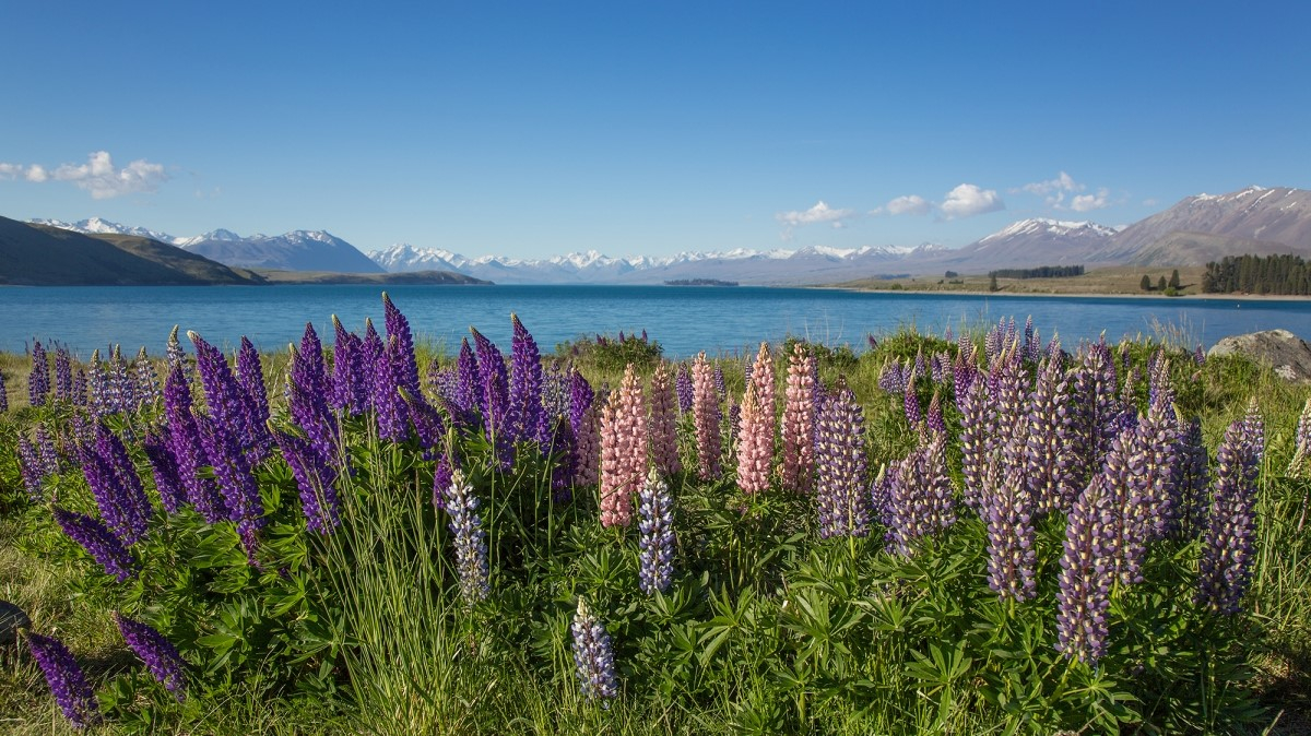 Фото нашей Странницы Татьяны Руновой