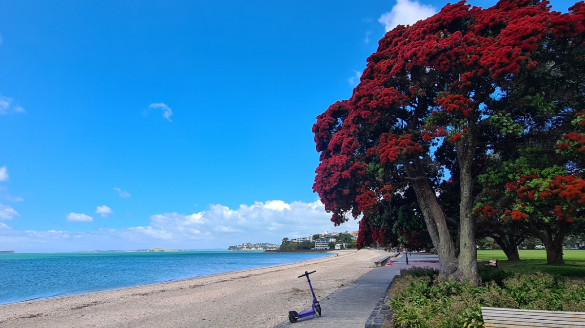 Фото: JustGoThere.NZ