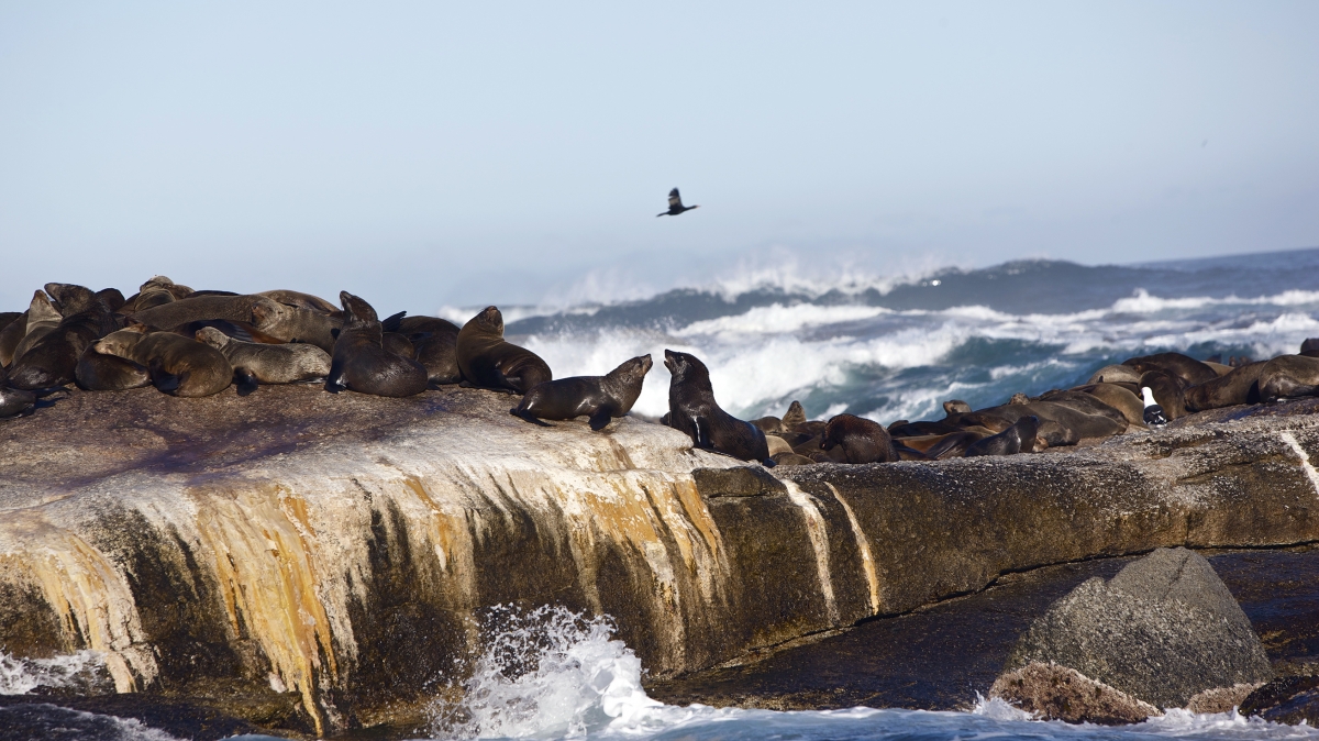 Автор: Alberto Ziveri, источник: visualhunt