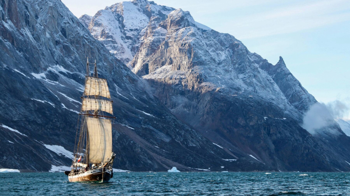 Фото: Dylan Shaw, unsplash.com