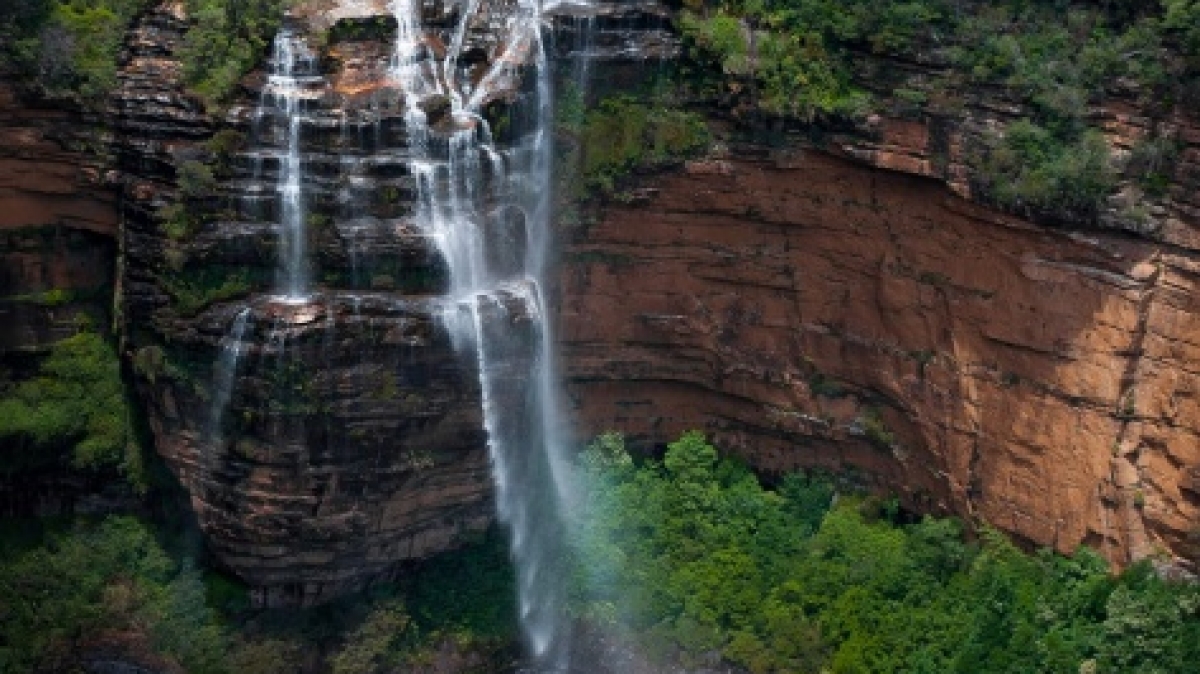 Фото: Hamish Weir, unsplash.com