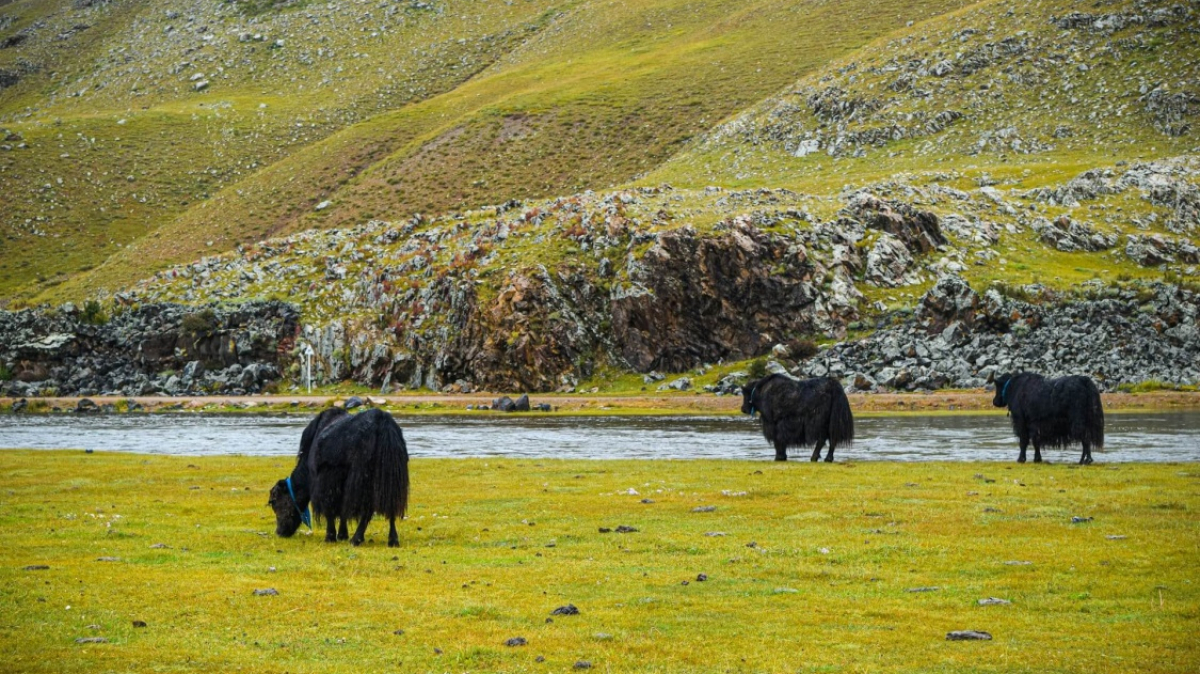 Фото: munkhuu on unsplash