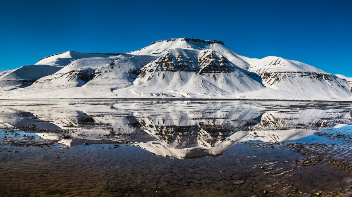 Фото: Сергей Доля