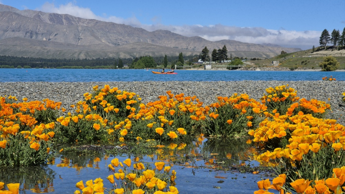 Фото: JustGoThere.NZ