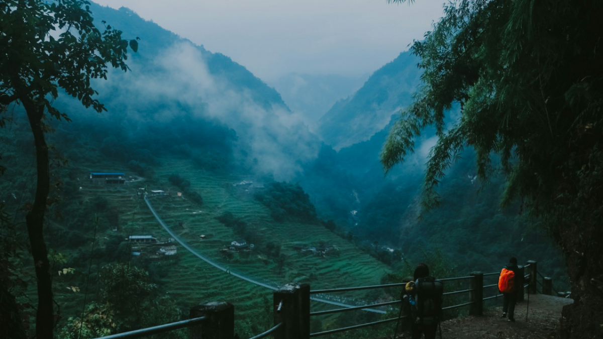 Фото: Neha Maheen Mahfin on Unsplash