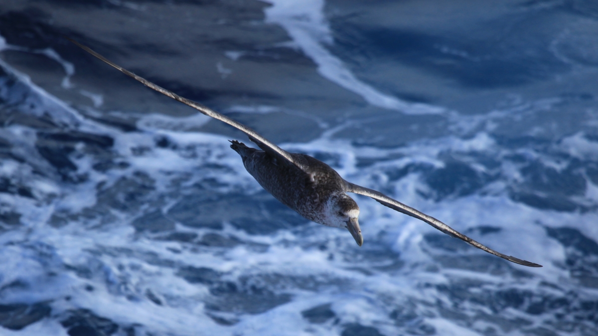 Автор: Liam Quinn, visualhunt