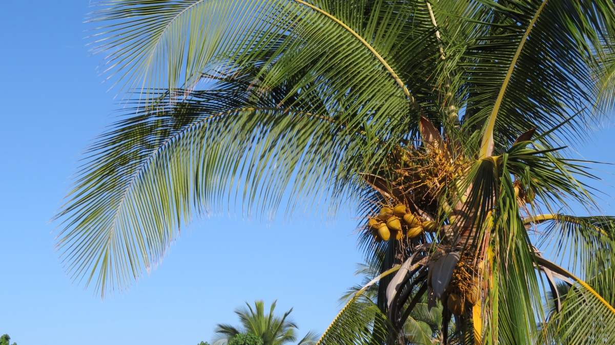 Источник: visualhunt.com