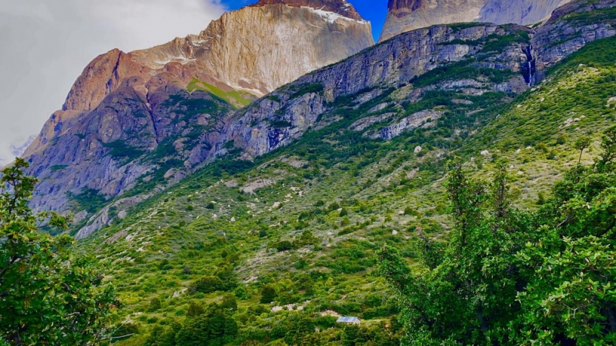 Фото: Akshay Nanavati, unsplash.com