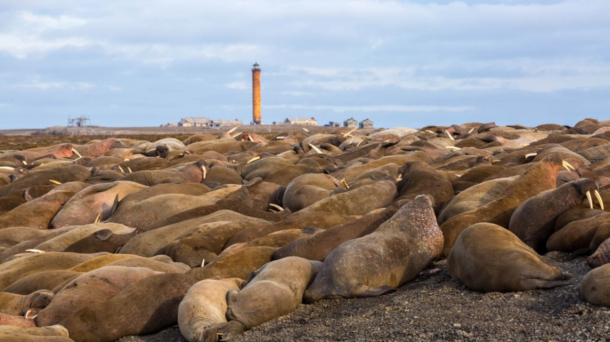 Фото из архива Клуба