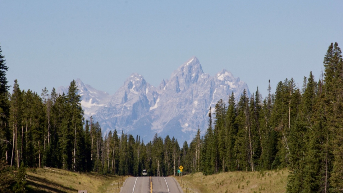 Фото: Leslie Cross, unsplash.com