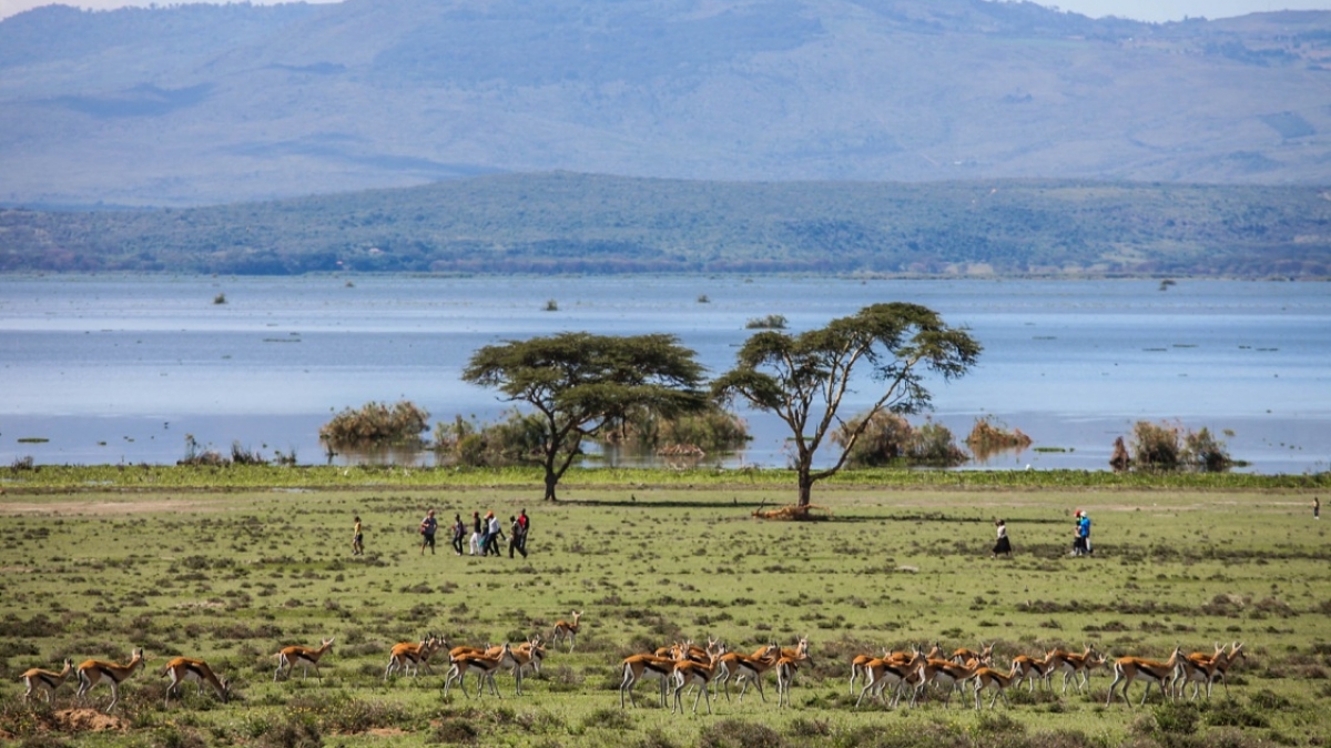 Фото: Ninara, visualhunt.com