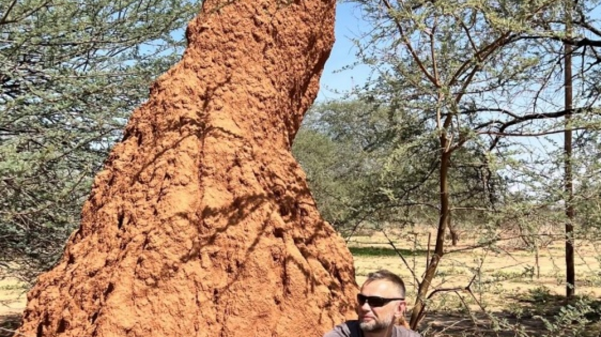 Термитник. Фото: наш гид Алексей Шорец