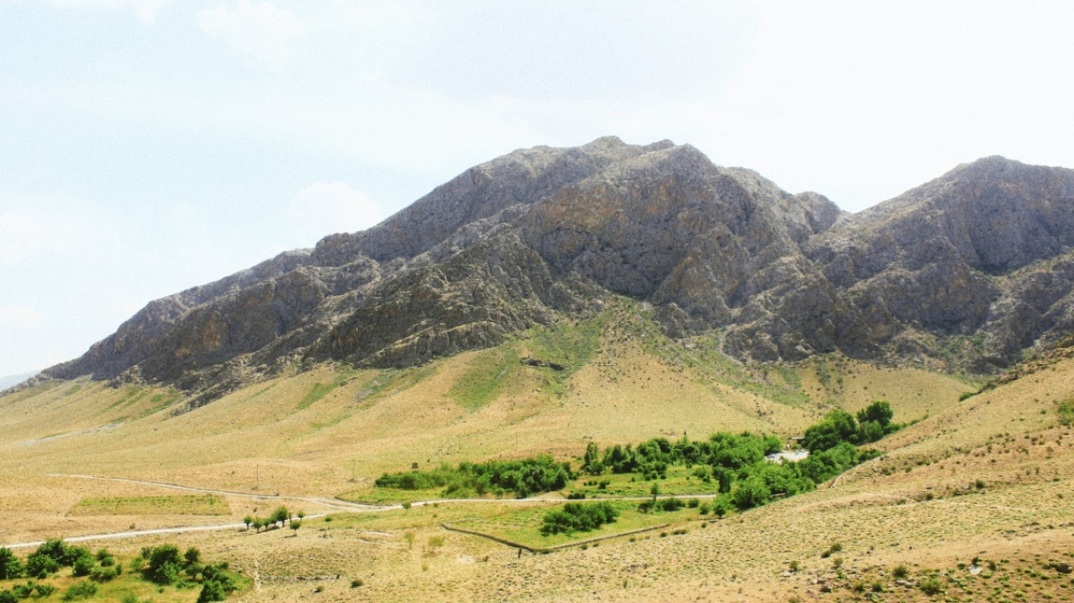 Фото: Madina Khaitbaeva, unsplash.com