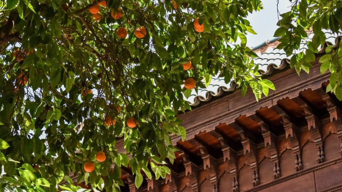 Фото Виктории Малюк