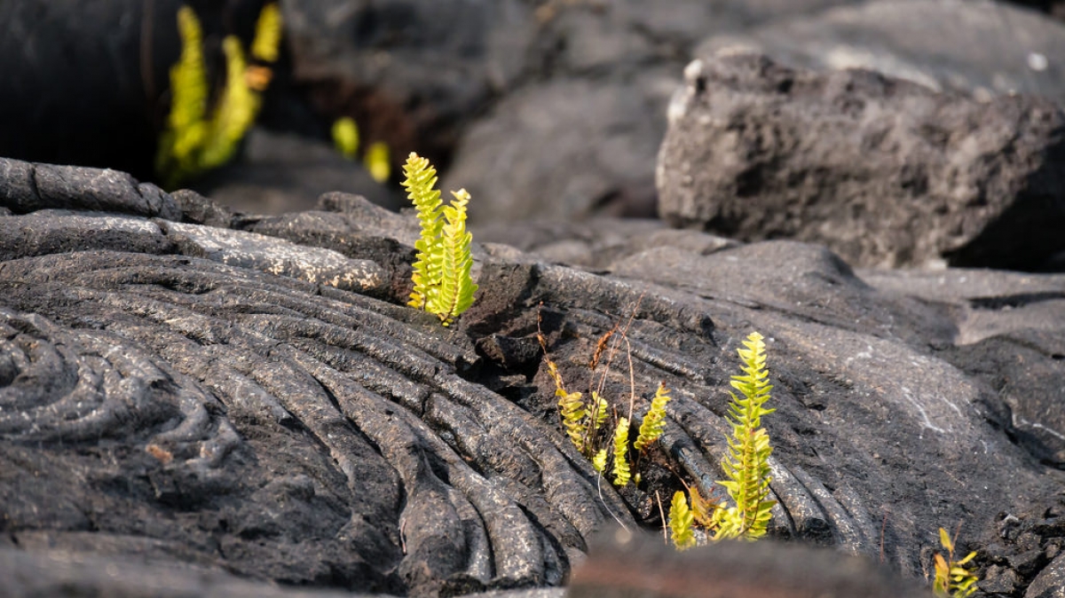 Автор: Frank Wittig. Источник: visualhunt.com