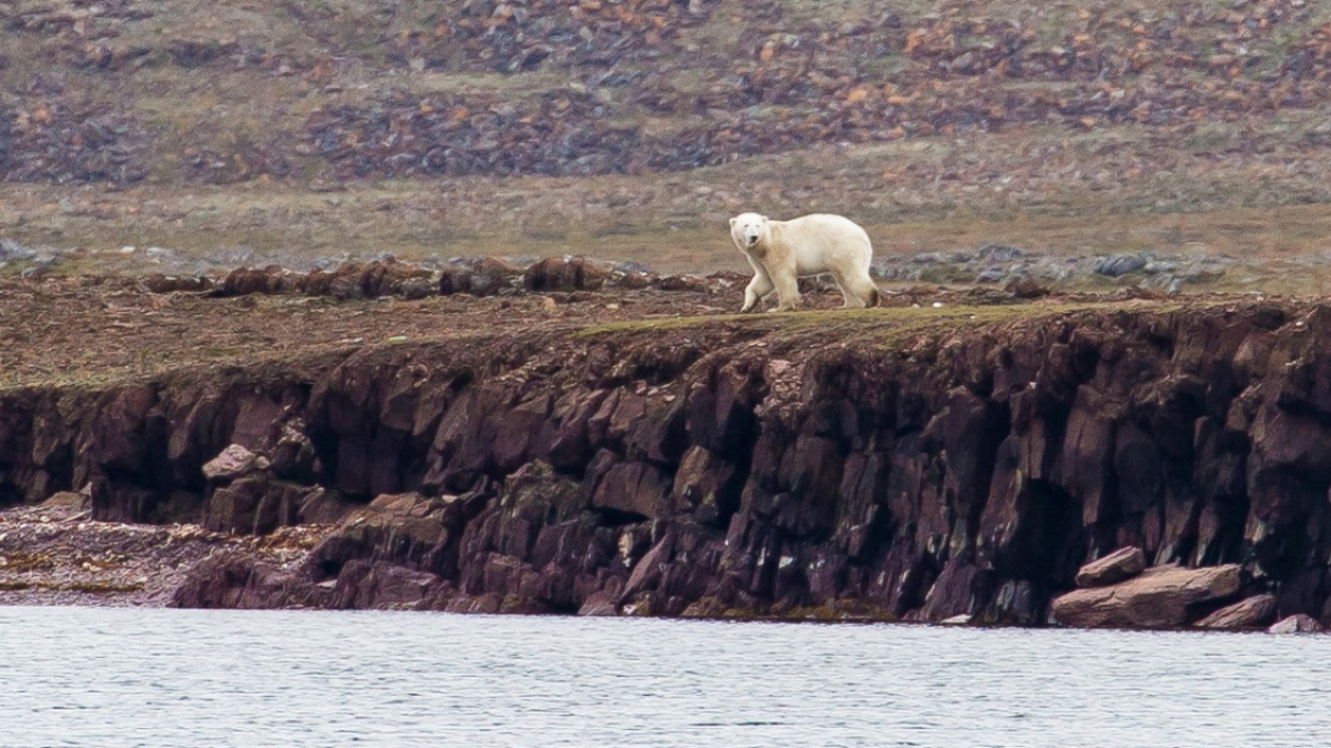 Фото из архива Клуба