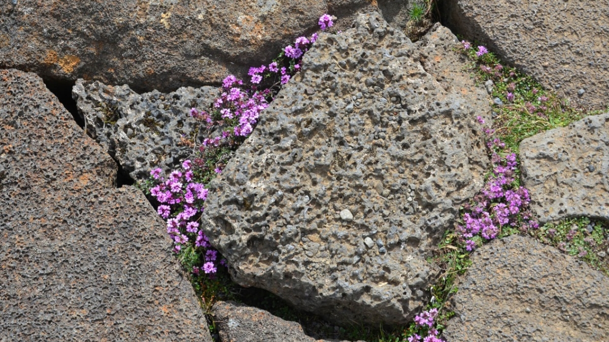 Фото нашей Странницы Оксаны Царьковой