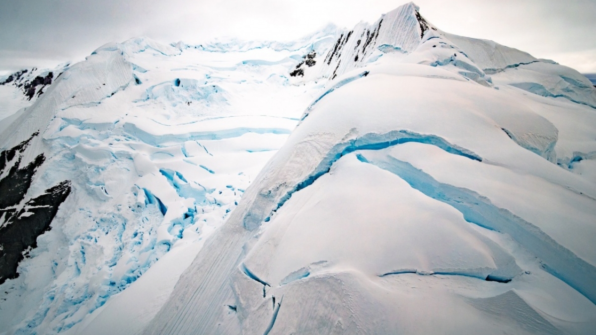 Фото: Rod Long, unsplash.com