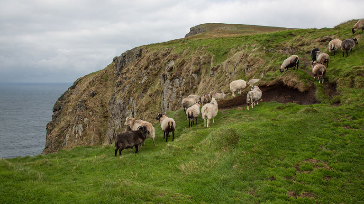Фото нашей Странницы Татьяны Руновой