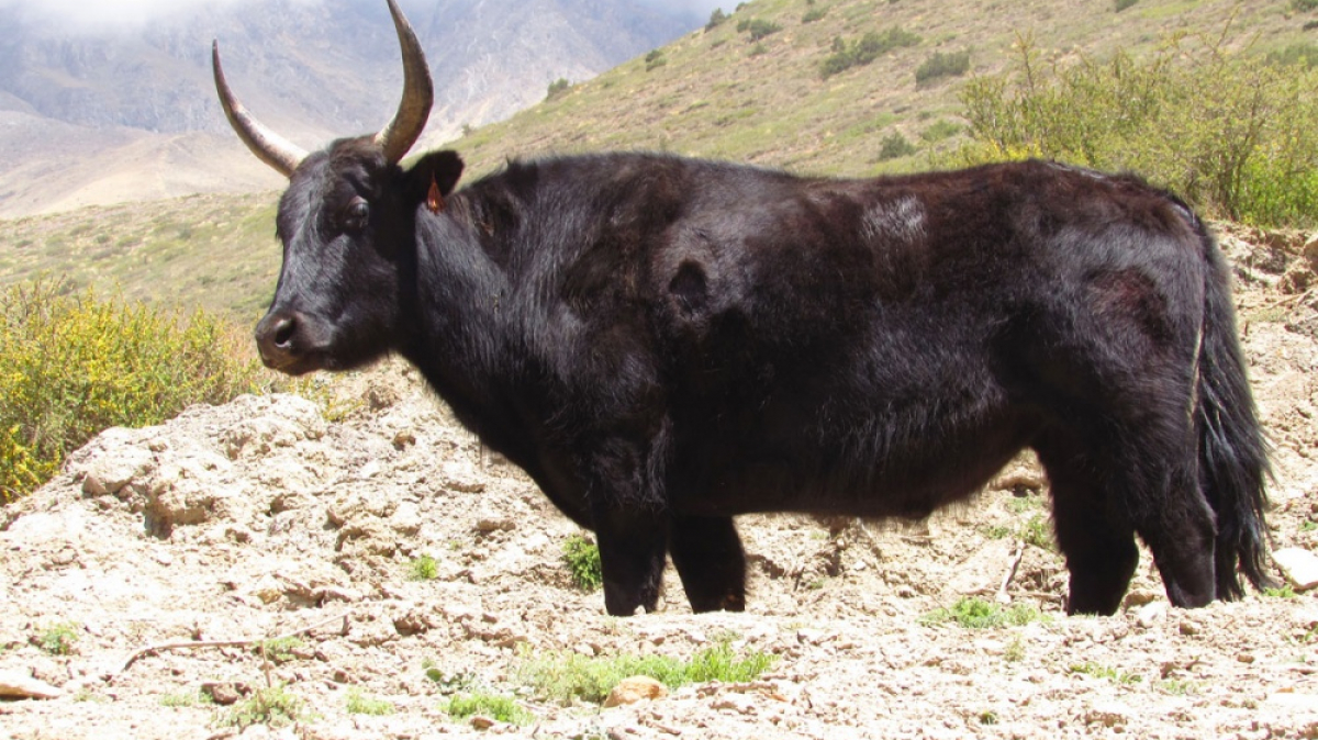 Фото нашего гида Лики Майстровой