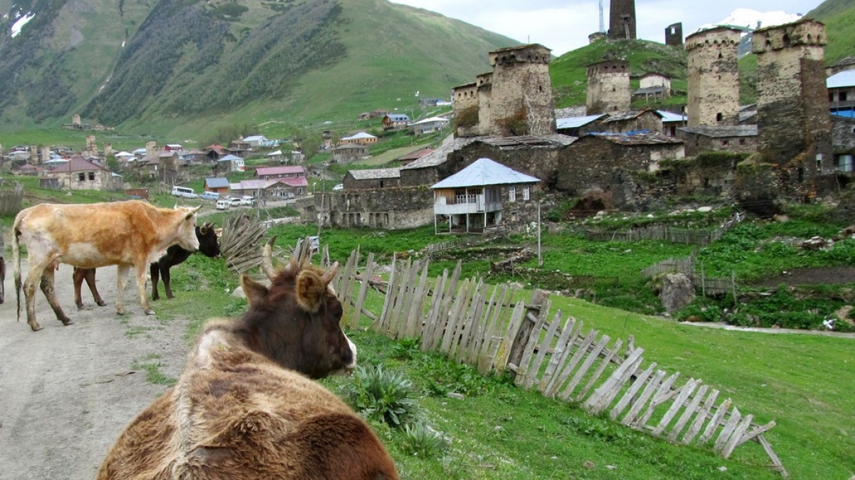 Дорога в Ушгули. Фото нашего гида Ирины Пряничниковой.
