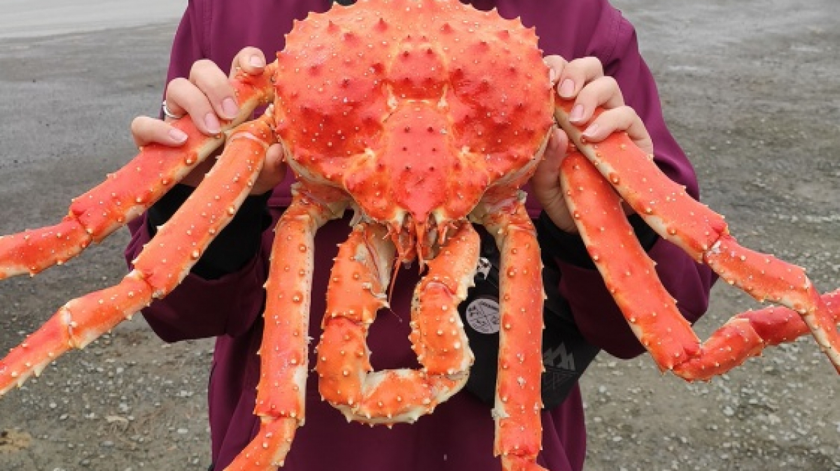 Фото нашей Странницы Марии Карловой