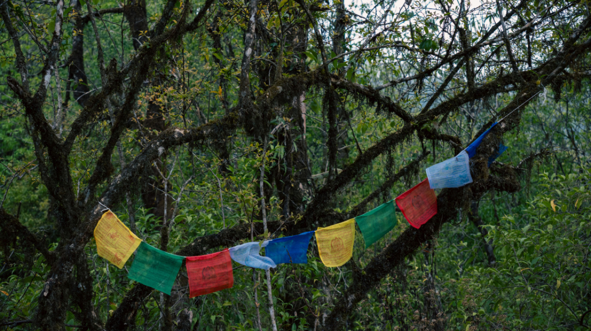 Фото нашего Странника Станислава Дышева