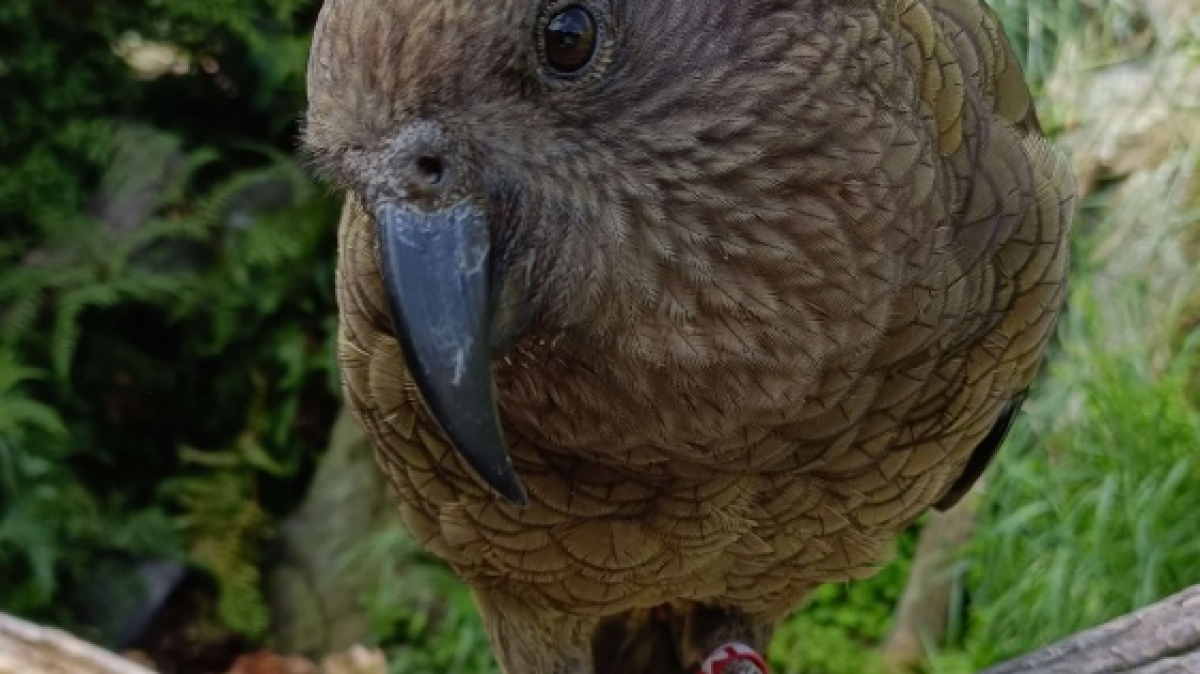 Фото из архива Клуба