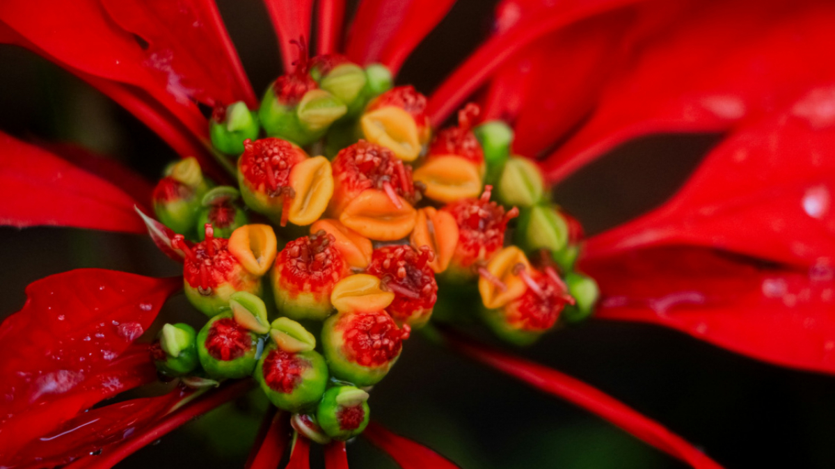 Фото: Neha Maheen Mahfin on Unsplash