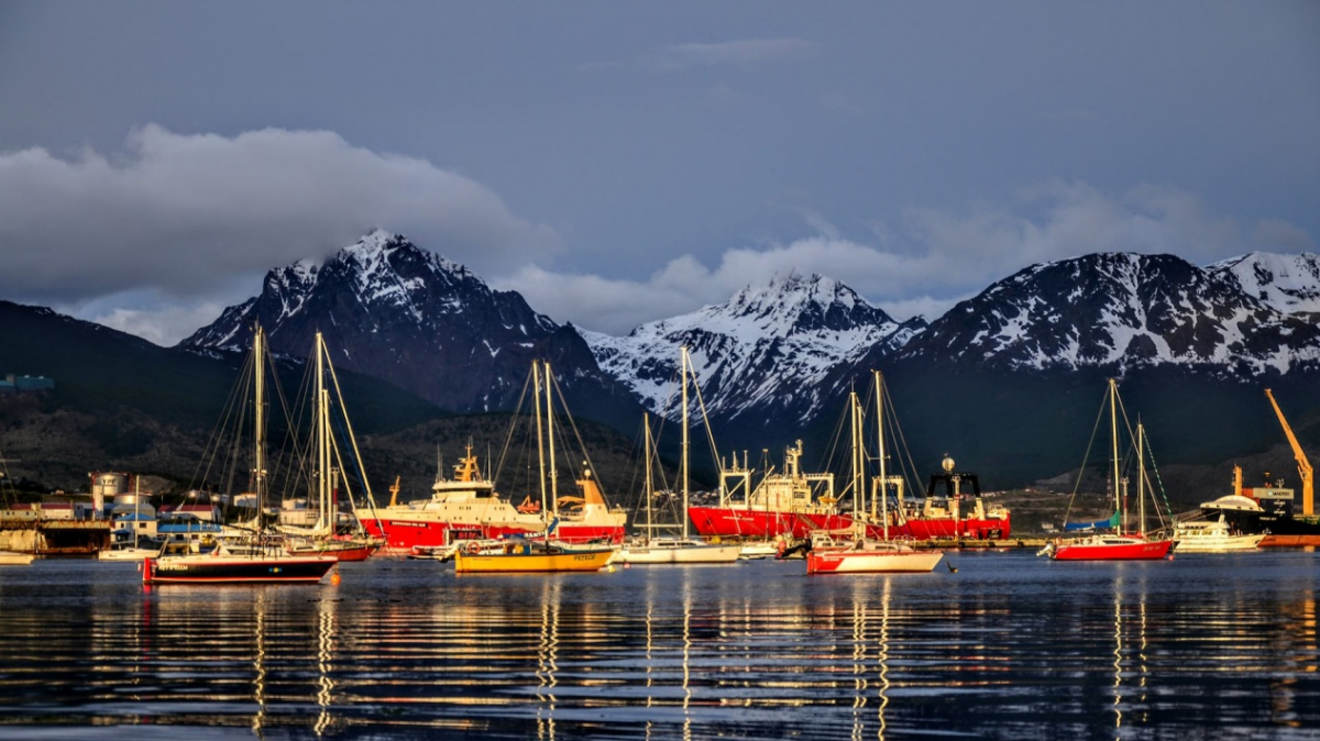 Фото: Diogo Hungria, unsplash