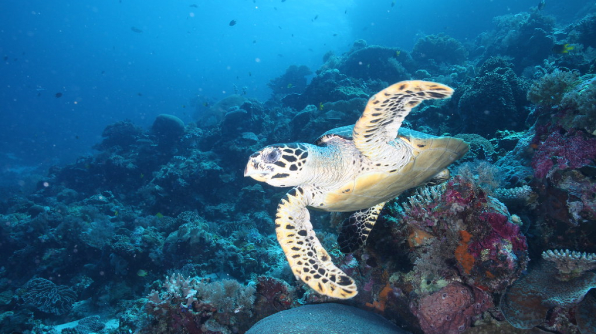 Фото: q.phia on Visualhunt