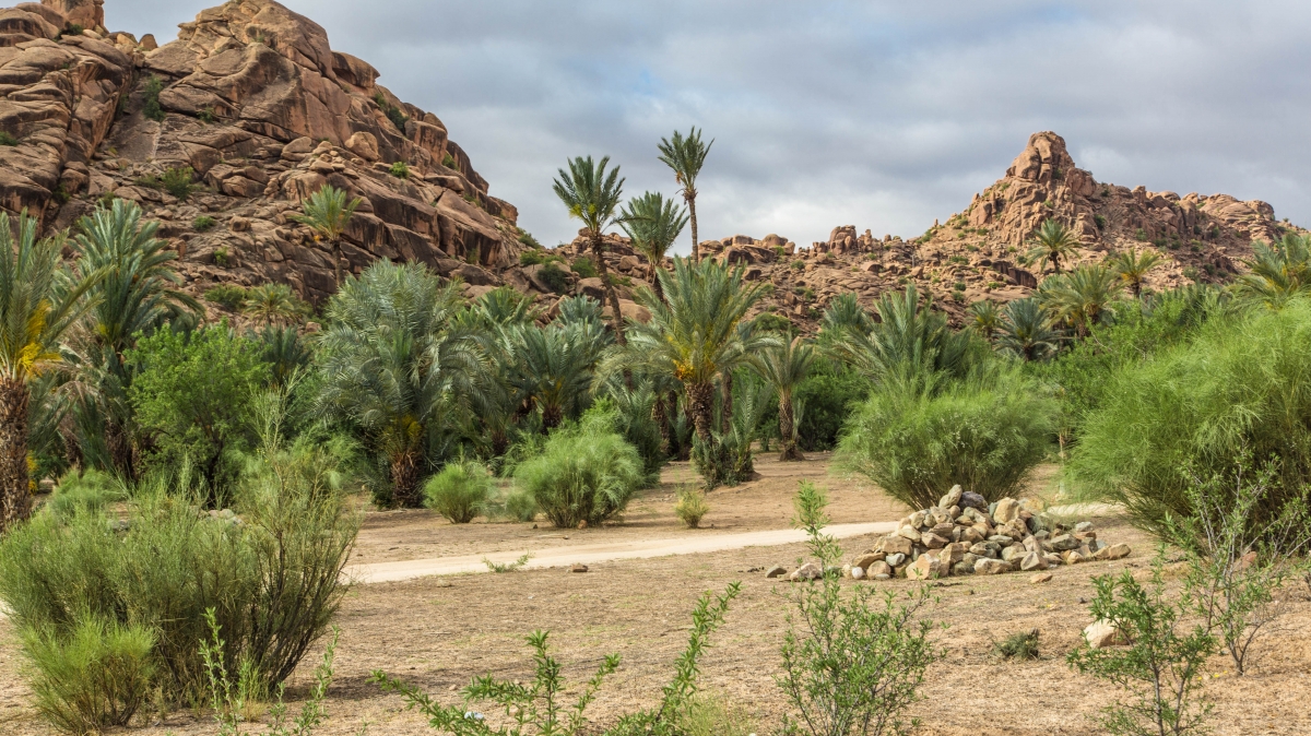 Ландшафт в окрестностях Тафраута. Фото нашего Странника Григория Чернова