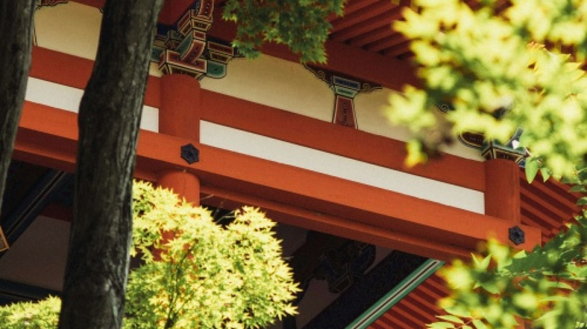 Фото Youngjin J, unsplash.com