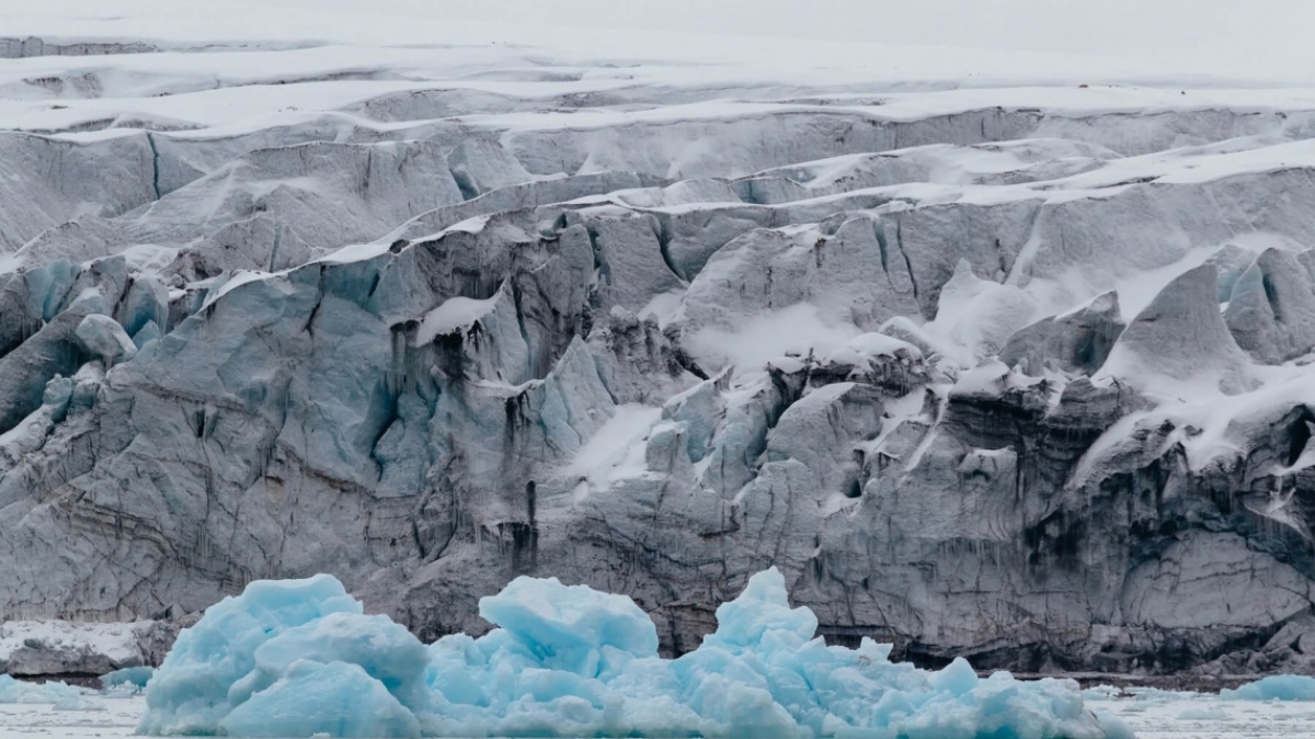 Фото: Chris Marquardt, unsplash.com