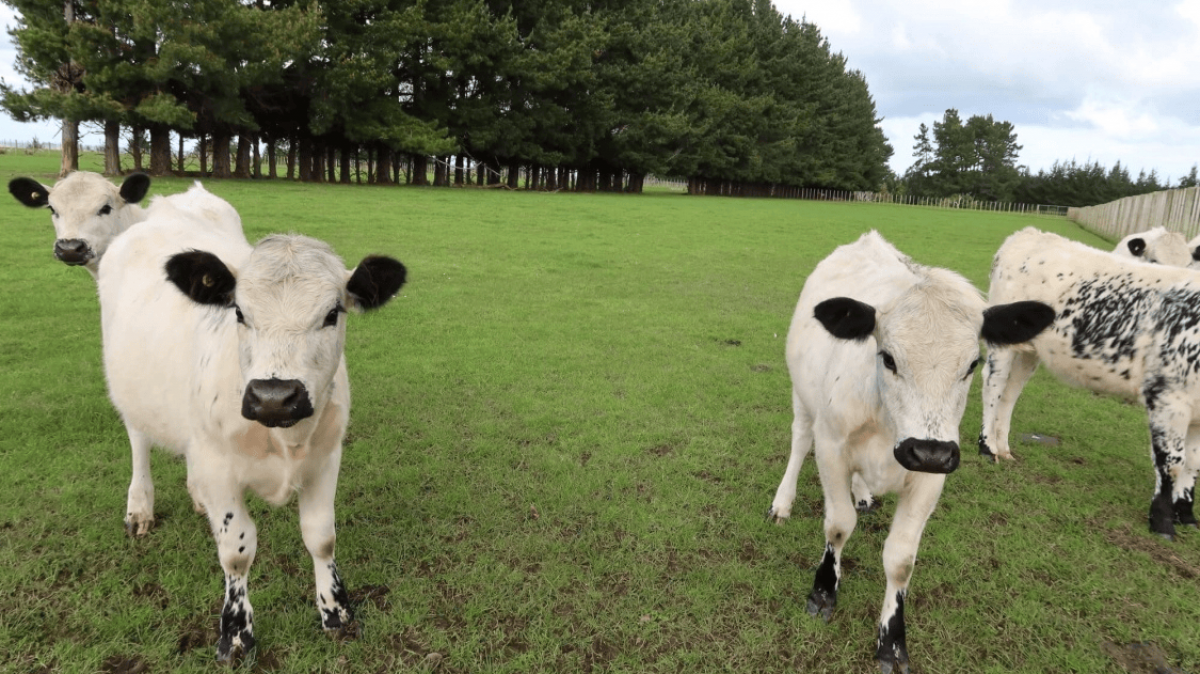 Фото из архива Клуба