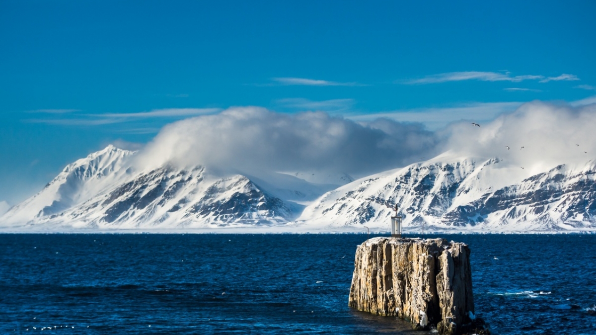 Фото Сергея Доля