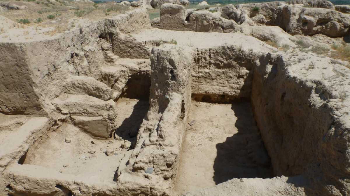 Фото из архива