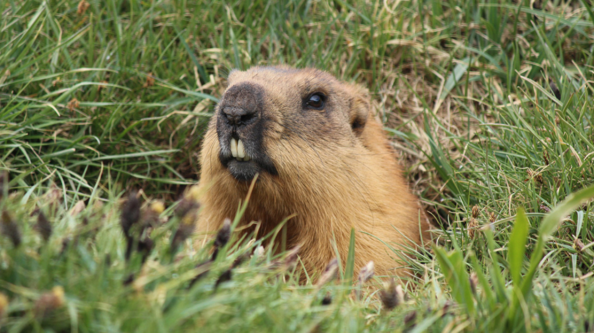 Фото из архива Клуба