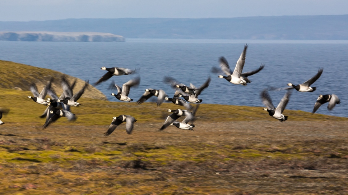 Фото из архива Клуба