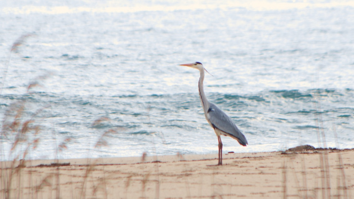 Фото: katunchik, visualhunt.com