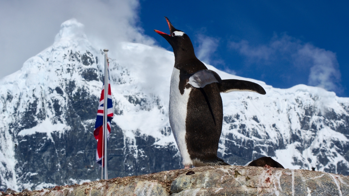 Автор: Rob Oo, visualhunt