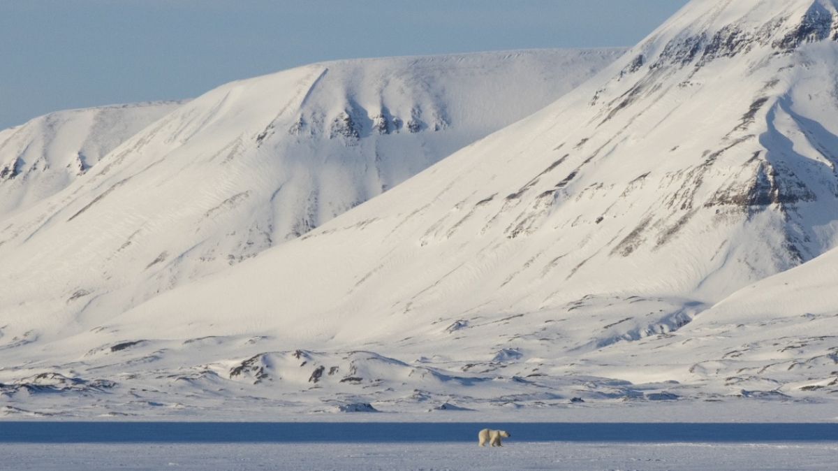 Фото Николая Кутузова