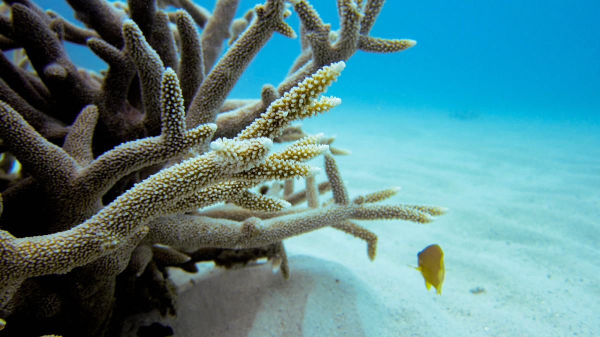 Фото: r.mcminds. Источник: visualhunt.com