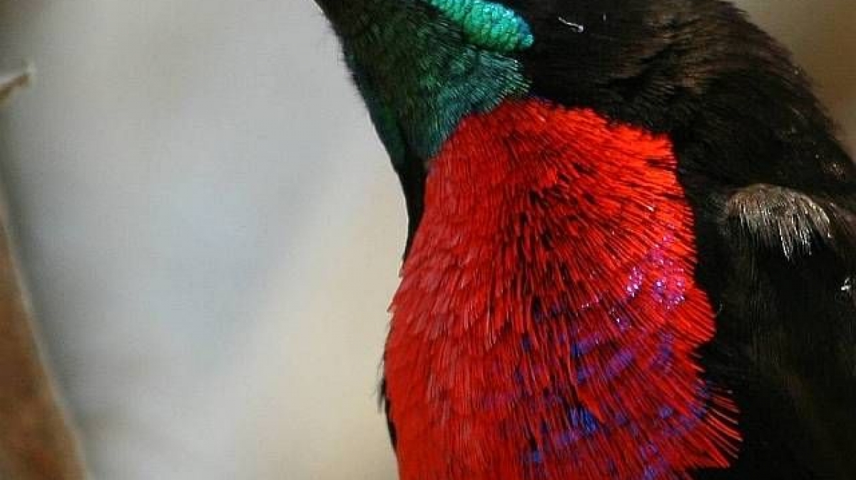 Автор: Alan Manson, источник: visualhunt