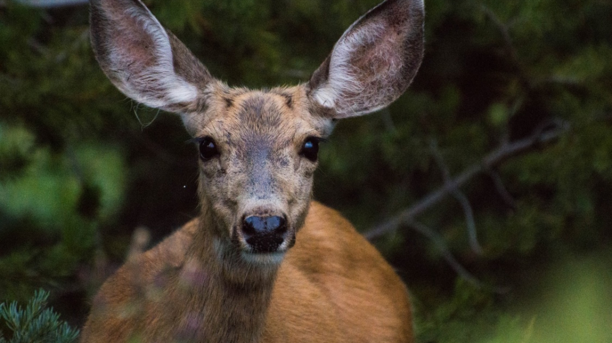 Фото: Keyang Zheng, unsplash.com