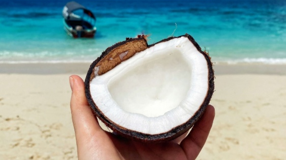 Фото: Olga Budko, unsplash.com