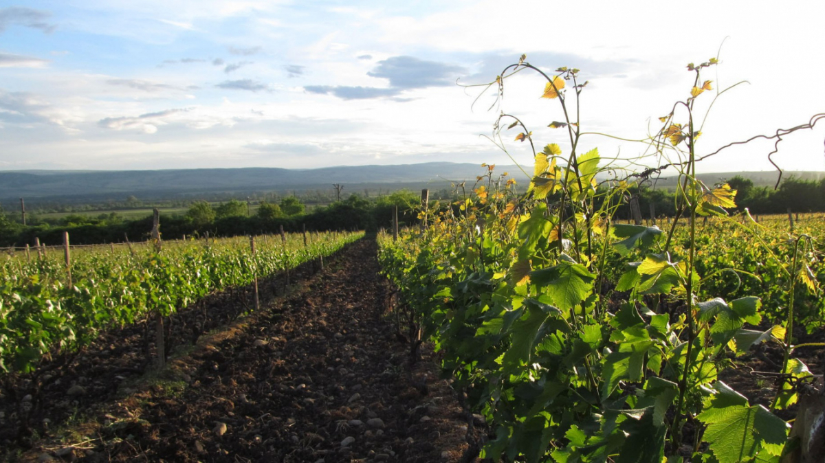 Фото наших Странников