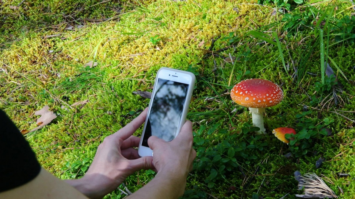 Фото нашего Странника Владимира Гущина