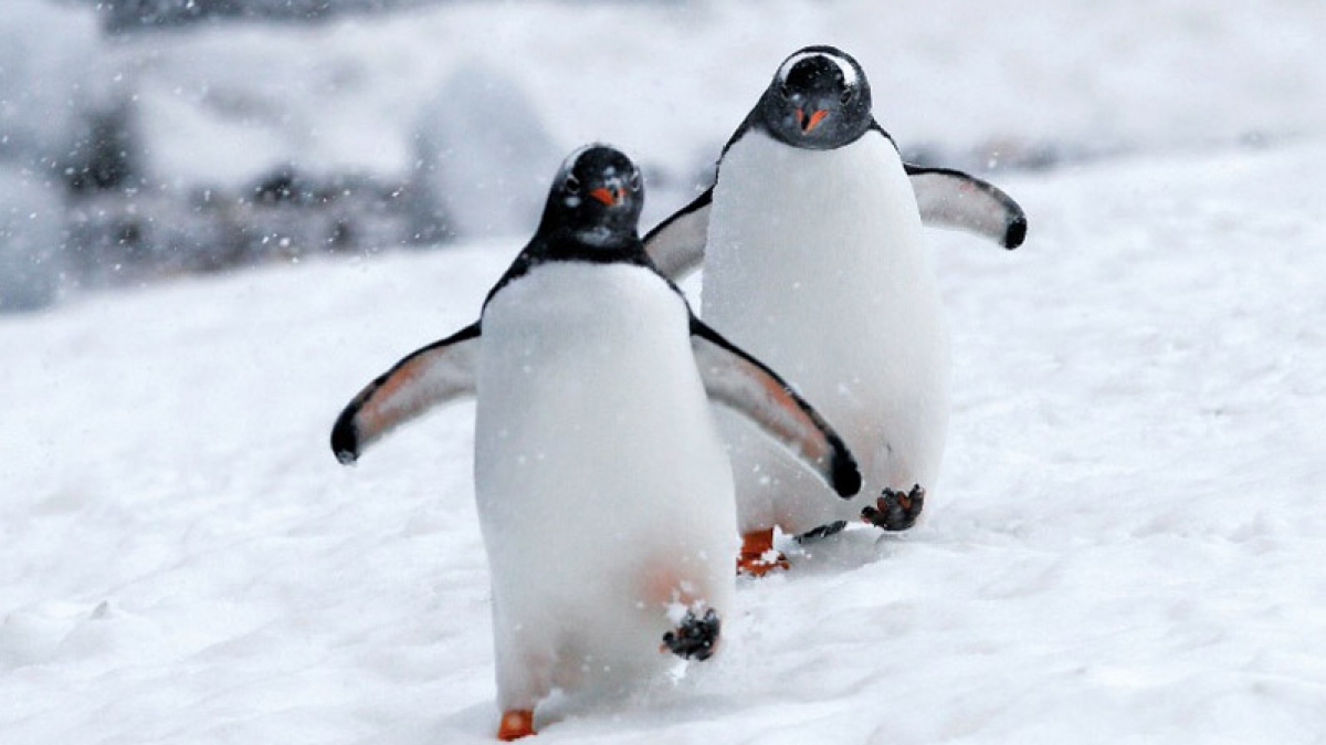 Фото из архива Клуба